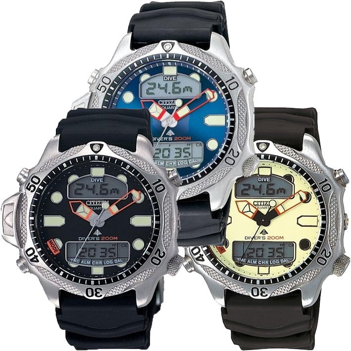 Citizen Aqualand JP1010-00E Horlogeband Zwart