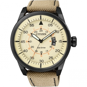 Citizen Eco-Drive Aviator AW1365-19P Horlogeband 22mm 